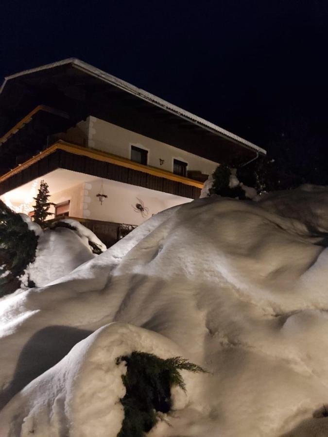 B&B Pension Karlsdorfer Hof Seeboden Extérieur photo